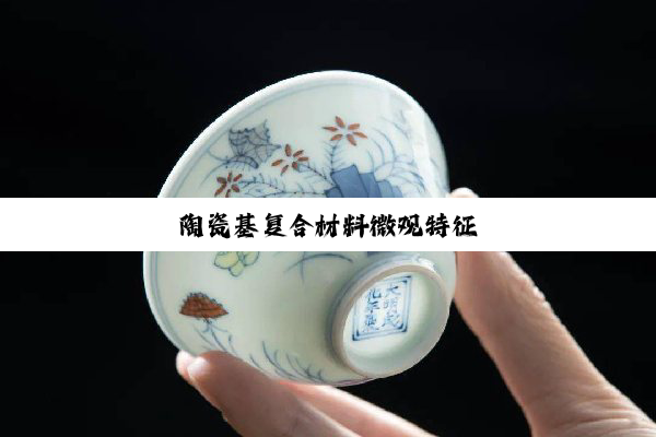 今日科普|陶瓷基复合材料微观特征