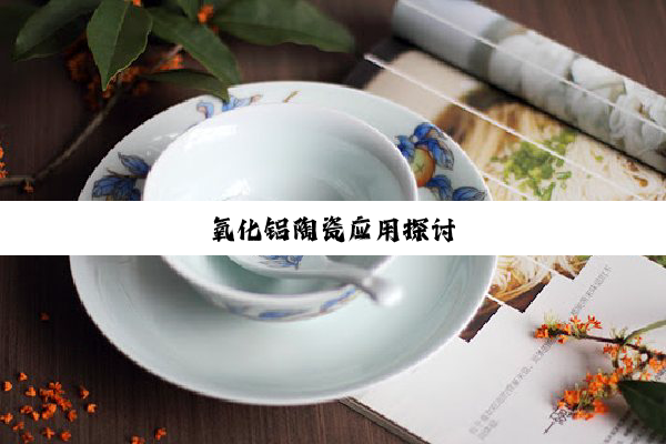 今日科普|氧化铝陶瓷应用探讨