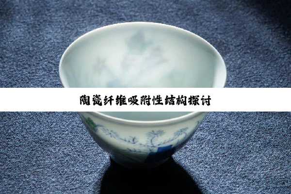 陶瓷纤维吸附性结构探讨