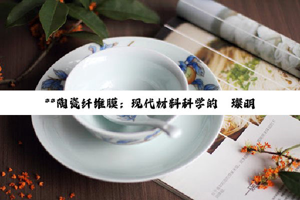 【科普解答】**陶瓷纤维膜：现代材料科学的璀璨明珠，引领高科技应用新纪元**