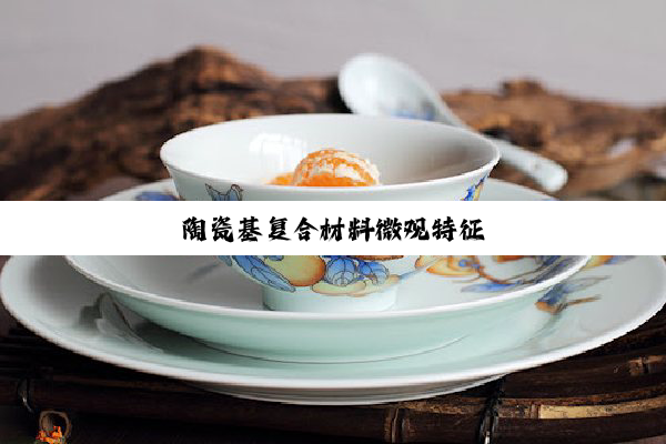 陶瓷基复合材料微观特征