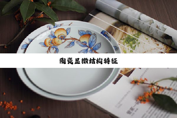 陶瓷显微结构特征