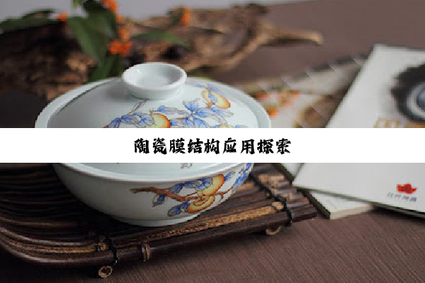 今日科普|陶瓷膜结构应用探索
