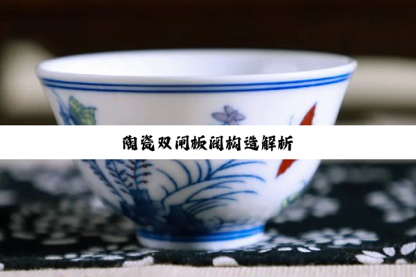 今日科普|陶瓷双闸板阀构造解析