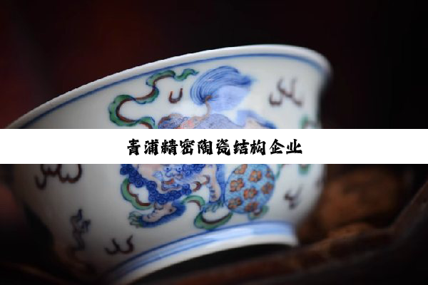 青浦精密陶瓷结构企业