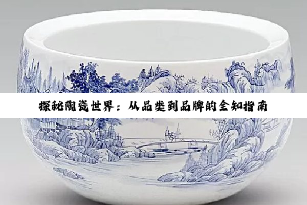 探秘陶瓷世界：从品类到品牌的全知指南