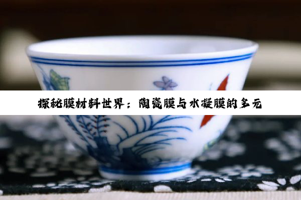 探秘膜材料世界：陶瓷膜与水凝膜的多元解析