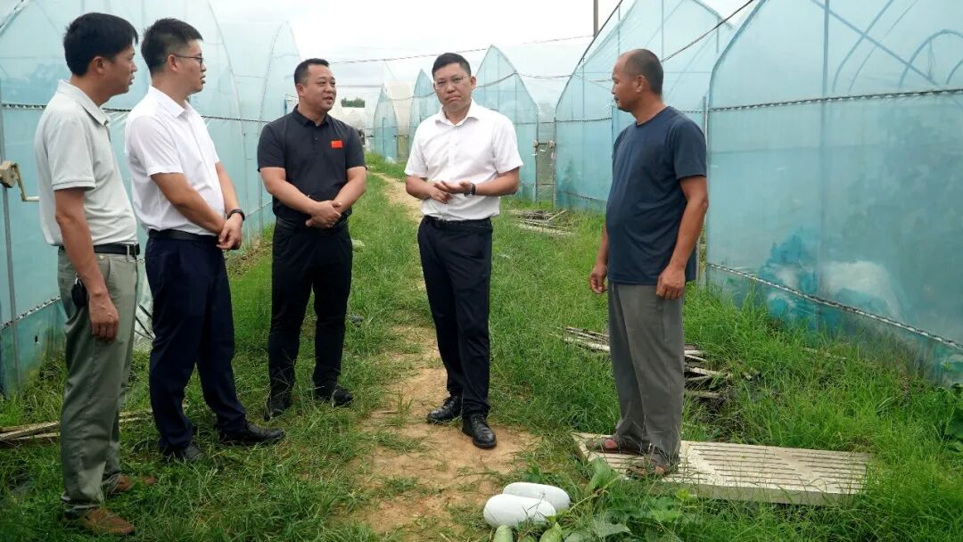 黄峰深入水车镇、文市镇开展综合调研