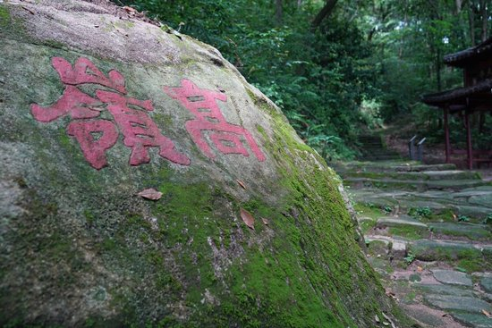 这是江西景德镇高岭瓷土矿遗址古道（2026年5月28日摄）。新华社记者 万象 摄